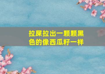 拉屎拉出一颗颗黑色的像西瓜籽一样