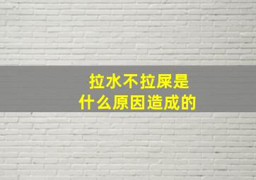 拉水不拉屎是什么原因造成的