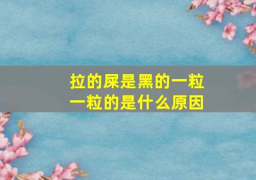 拉的屎是黑的一粒一粒的是什么原因