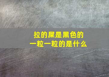 拉的屎是黑色的一粒一粒的是什么