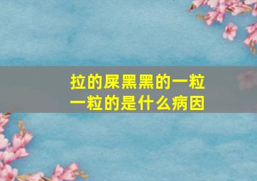 拉的屎黑黑的一粒一粒的是什么病因