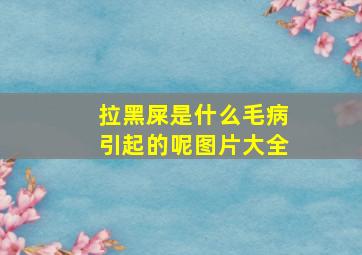 拉黑屎是什么毛病引起的呢图片大全