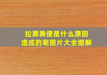 拉黑粪便是什么原因造成的呢图片大全图解