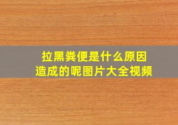 拉黑粪便是什么原因造成的呢图片大全视频