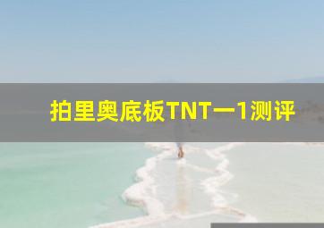 拍里奥底板TNT一1测评