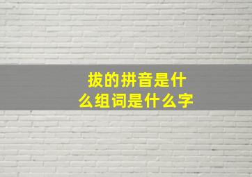 拔的拼音是什么组词是什么字