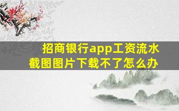 招商银行app工资流水截图图片下载不了怎么办