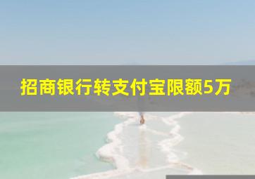 招商银行转支付宝限额5万