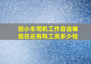 招小车司机工作自由嘛现在还有吗工资多少钱