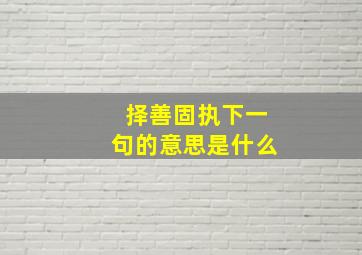 择善固执下一句的意思是什么