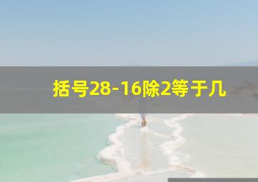 括号28-16除2等于几