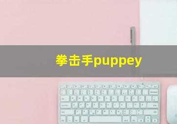 拳击手puppey