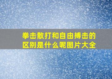 拳击散打和自由搏击的区别是什么呢图片大全