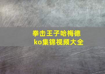 拳击王子哈梅德ko集锦视频大全