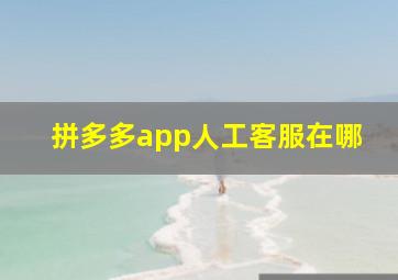 拼多多app人工客服在哪