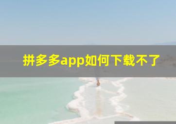 拼多多app如何下载不了