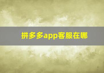 拼多多app客服在哪