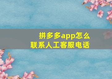 拼多多app怎么联系人工客服电话