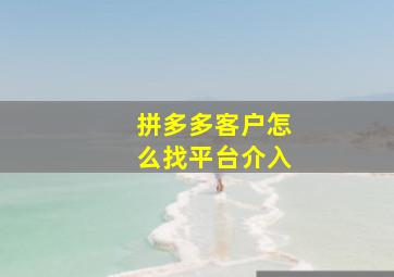 拼多多客户怎么找平台介入