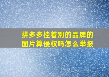 拼多多挂着别的品牌的图片算侵权吗怎么举报