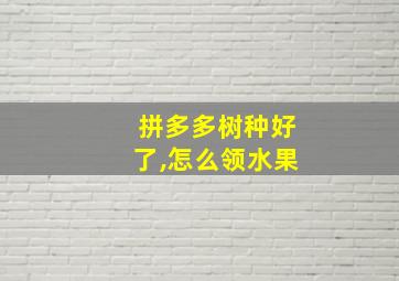 拼多多树种好了,怎么领水果