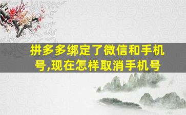 拼多多绑定了微信和手机号,现在怎样取消手机号