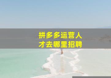 拼多多运营人才去哪里招聘