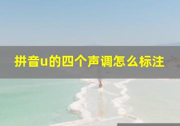 拼音u的四个声调怎么标注