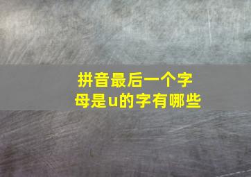 拼音最后一个字母是u的字有哪些