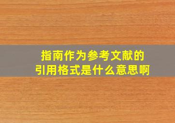 指南作为参考文献的引用格式是什么意思啊