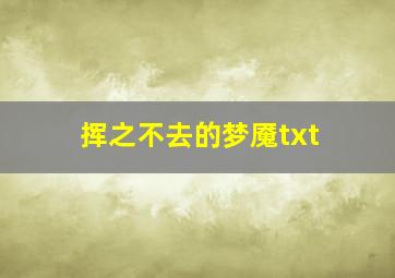 挥之不去的梦魇txt