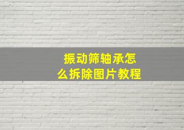 振动筛轴承怎么拆除图片教程