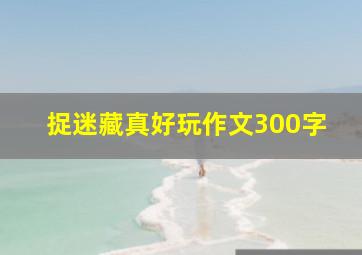 捉迷藏真好玩作文300字