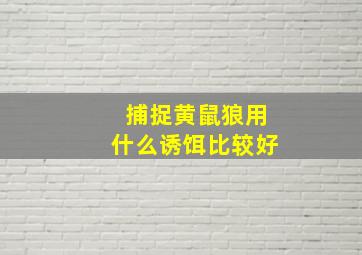 捕捉黄鼠狼用什么诱饵比较好