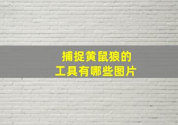 捕捉黄鼠狼的工具有哪些图片