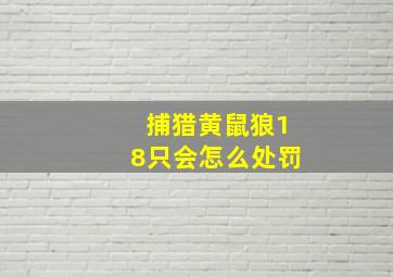 捕猎黄鼠狼18只会怎么处罚