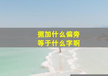 据加什么偏旁等于什么字啊