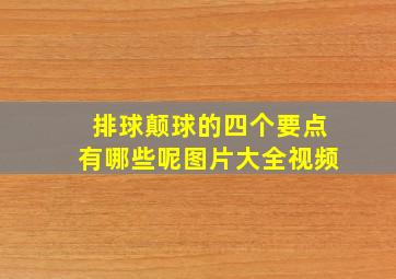 排球颠球的四个要点有哪些呢图片大全视频