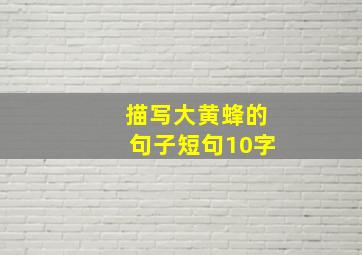 描写大黄蜂的句子短句10字