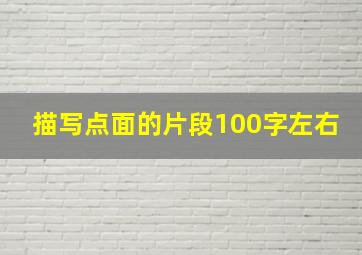 描写点面的片段100字左右