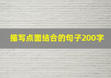 描写点面结合的句子200字