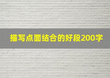 描写点面结合的好段200字