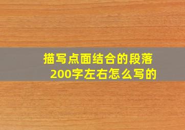 描写点面结合的段落200字左右怎么写的