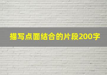 描写点面结合的片段200字