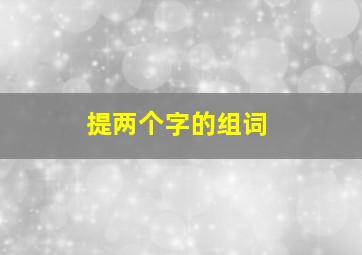 提两个字的组词