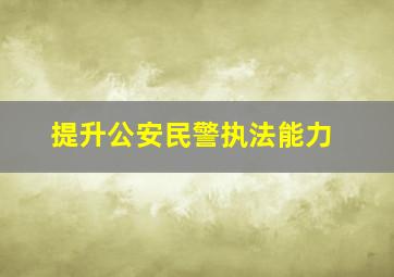 提升公安民警执法能力