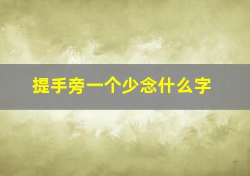 提手旁一个少念什么字