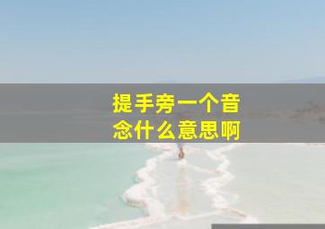 提手旁一个音念什么意思啊