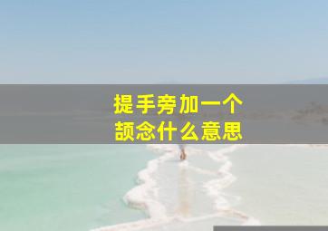 提手旁加一个颉念什么意思