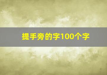 提手旁的字100个字